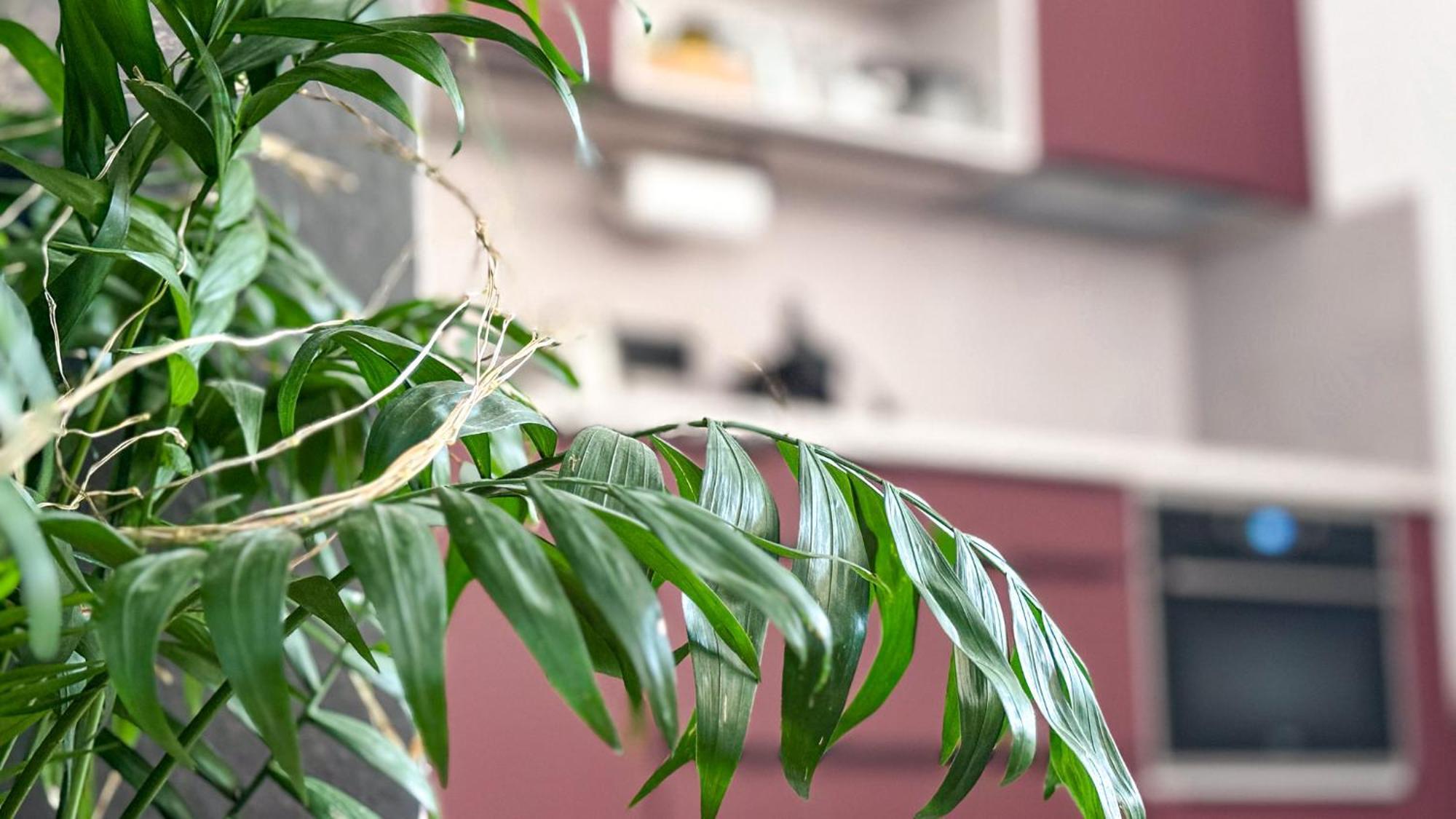 Remote Work Friendly Zahradni Apartman U Jezera Staré Splavy Exterior foto