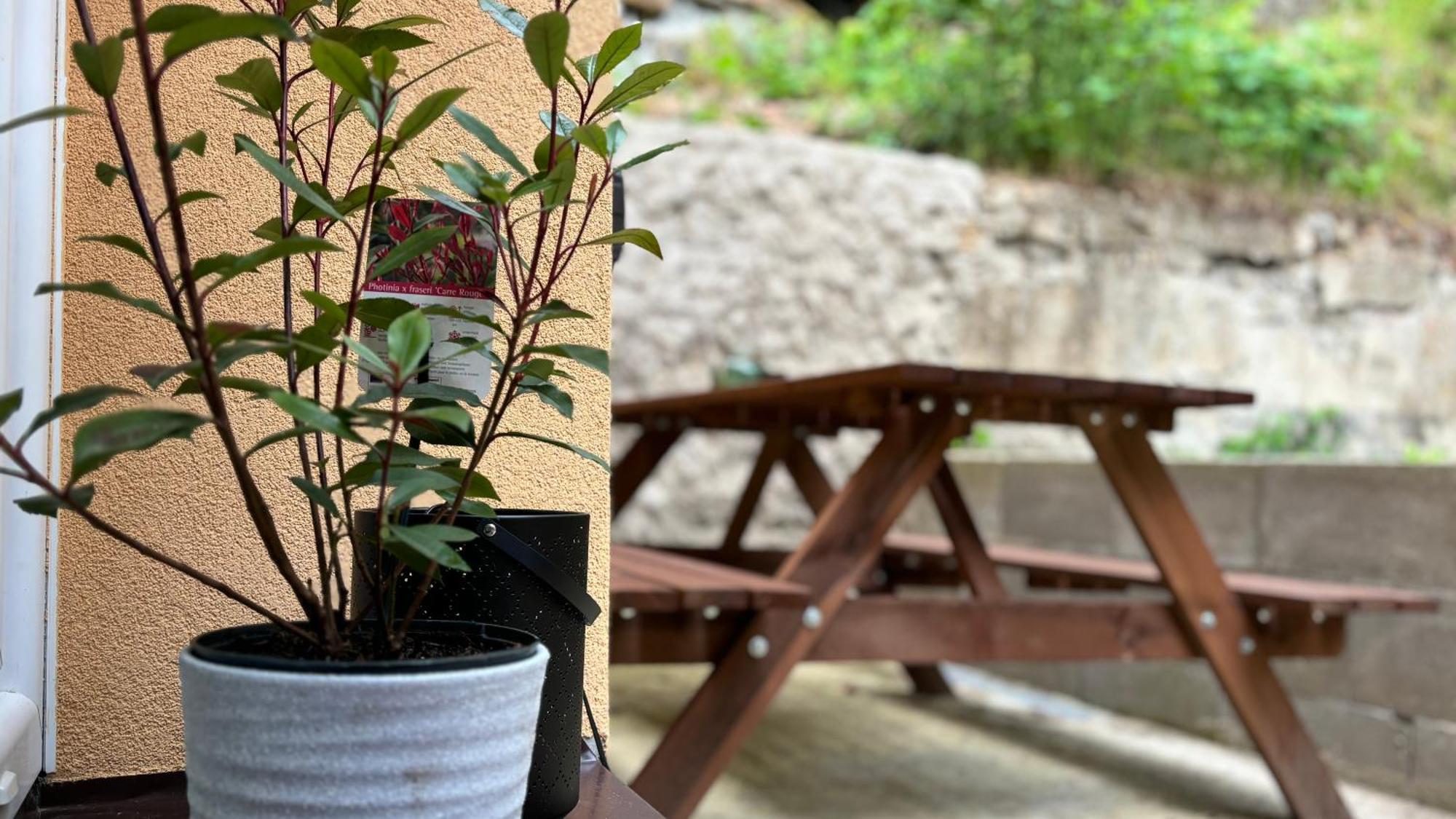Remote Work Friendly Zahradni Apartman U Jezera Staré Splavy Exterior foto